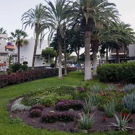 Tenerife Primavera Casa vacanze Arona (Tenerife)
