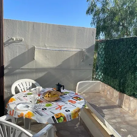 Tenerife Primavera *