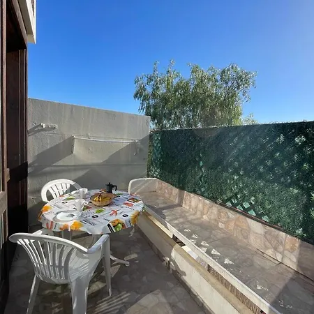 Tenerife Primavera Arona (Tenerife)